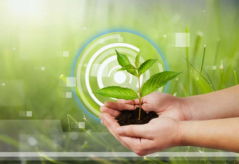 Plant Disease Prediction